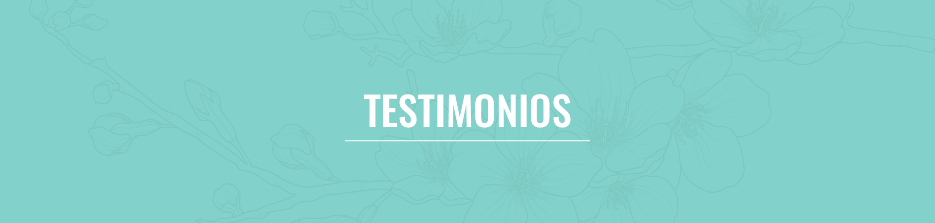 banners secciones-06