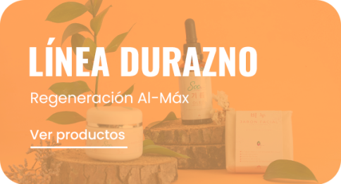 portada-líneas portada-líneas